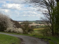 Hanrorup from Reinert