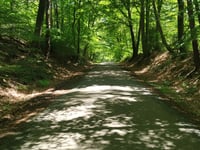 Hardtberg von Hünxe