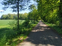 Hardtberg z Hünxe