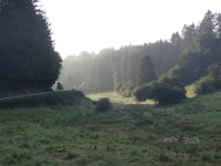 Hareler-Poteau von Surré