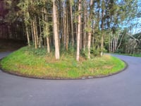 Haschleed von Enscherange