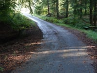 Hasebusch via Route de la Robinette