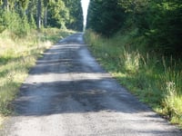 Hasebusch via Route de la Robinette