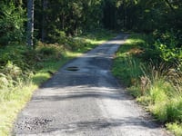 Hasebusch via Route de la Robinette