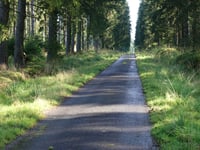 Hasebusch via Route de la Robinette