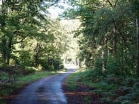 Hasebusch via Route de la Robinette