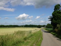 Hasenwald from Mittelürsfeld