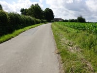 Hasenwald from Mittelürsfeld