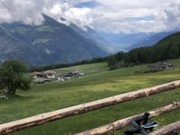 Haslhof von Covelano / Göflan