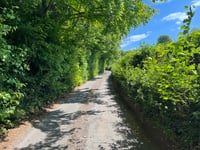 Hatches Lane