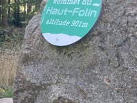 Haut Folin depuis Les Grandes Pâtures par Col du Haut Folin