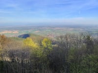 Château du Haut-Kœnigsbourg da Kintzheim