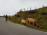 Hautacam / Col de Tramassel