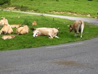 Hautacam / Col de Tramassel