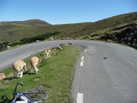 Hautacam / Col de Tramassel