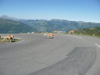Hautacam / Col de Tramassel