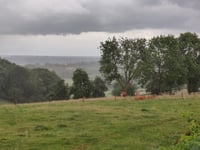 Hautes des Froidmont