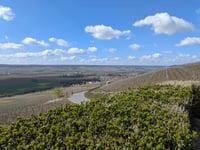 Hautvillers from Cumieres