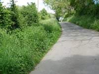 Hauzeur von Rue du Trèfle