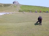 Haytor Rocks von Bovey Tracey