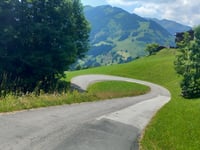 Hecherberg da Viehhofen