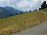 Hecherberg da Viehhofen