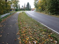 Heckstrasse von Würselener Strasse