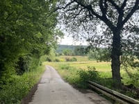 Hédrée