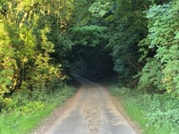 Heerse Bos vanuit Horpmaal