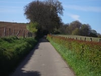 Lindenweg via Eyskensweg