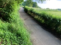 Lindenweg via Eyskensweg