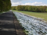 Heidestrasse über Am Schafberg
