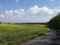 Heidestrasse von Strass