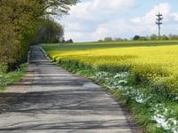 Heidestrasse von Strass