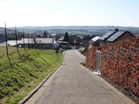 Heidkopf über Lindenallee