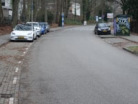 Heijenoordseweg via Callunastraat