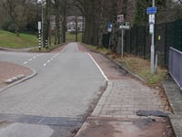 Heijenoordseweg via Callunastraat