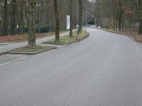 Heijenoordseweg via Callunastraat