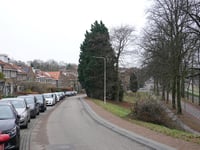 Heijenoordseweg via Callunastraat