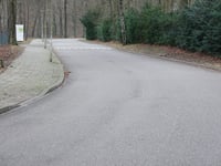 Heijenoordseweg via Callunastraat