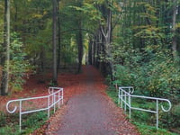 Heijenoordseweg por Mariëndaal