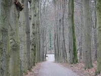 Heijenoordseweg par Mariëndaal