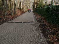 Heikantberg über Olmendreef