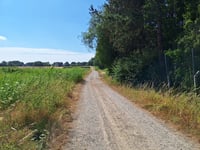Heikenpad da Marktweg