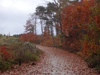 Heikop von Brunssum