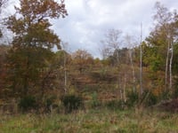 Heikop von Brunssum