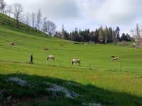 Heiligenschwendi von Hilterfingen