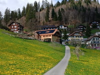 Heiligenschwendi von Hilterfingen
