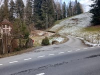 Heiligenschwendi von Thun über Choleresagi