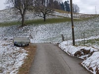 Heiligenschwendi von Thun über Choleresagi